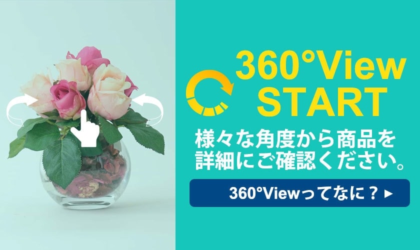 360°Viewがスタートしました！