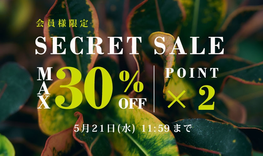 最大30%OFF 初夏のシークレットセール＆ダブルポイント