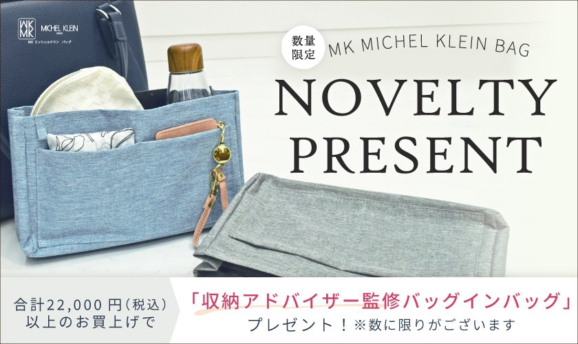 【数量限定】整理収納アドバイザー監修バッグインバッグプレゼント
