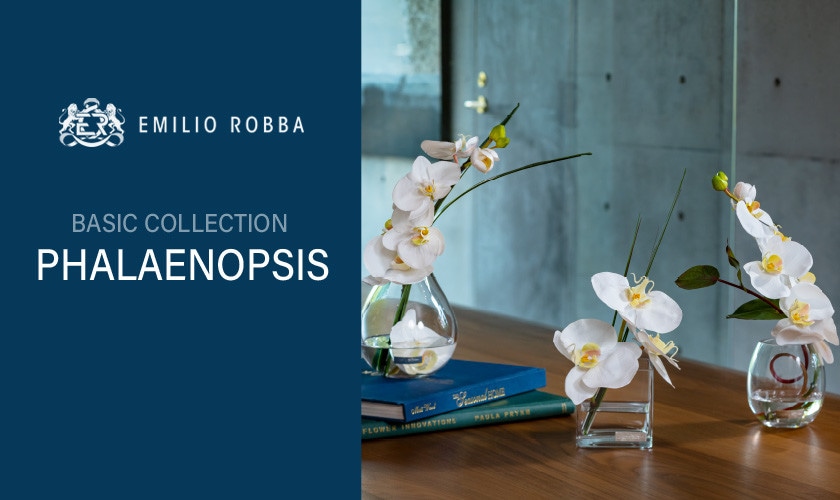 ファレノプシス-BASIC COLLECTION ‐【EMILIO ROBBA】