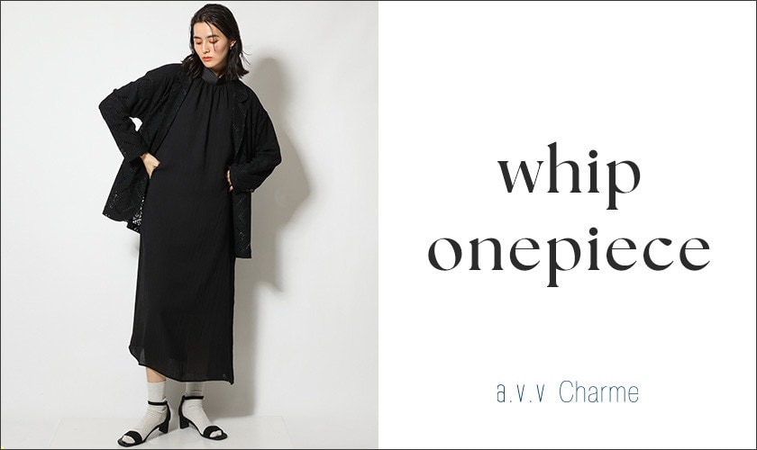 whip onepiece