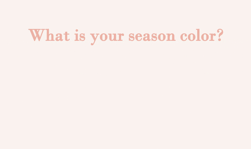 【S SYBILLA】AW 2025 - What is your season color? -