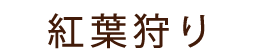 鮮やかに染まる紅葉が引き立つ、ナチュラルな色合い