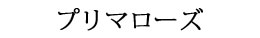 バラのアレジメントは置くだけでおしゃれなインテリアになります！