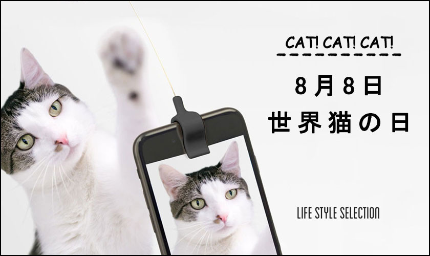 CAT!CAT!CAT!　8月8日世界猫の日