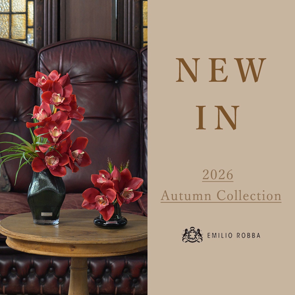 NEW IN　~2026 Autumn Collection~