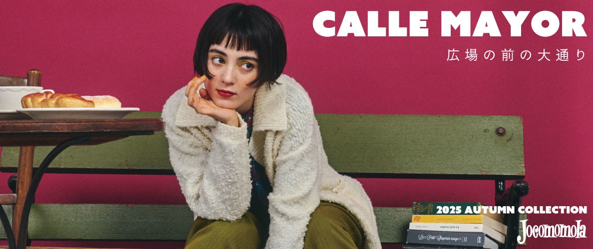 Calle Mayor - 広場の前の大通り -