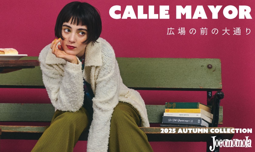 Calle Mayor - 広場の前の大通り -