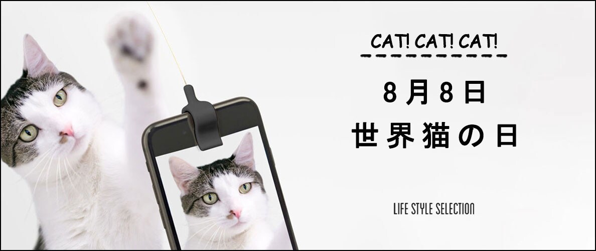 CAT!CAT!CAT!　8月8日世界猫の日