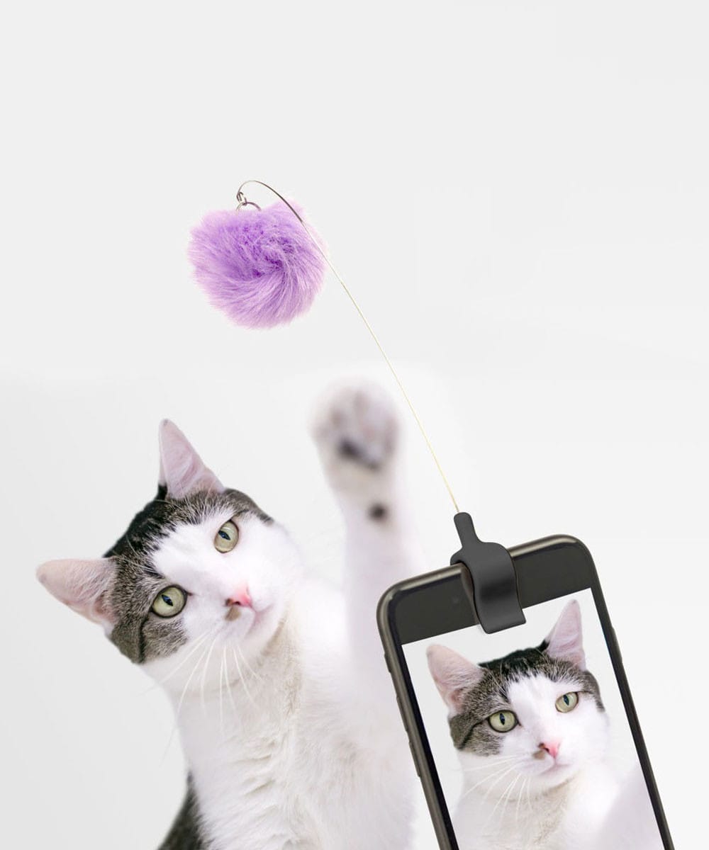 Kitty Phone Clip