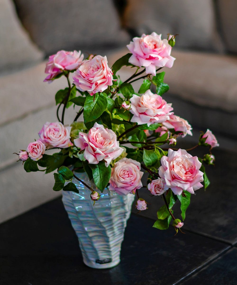 EMILIO ROBBA プリマローズ2L-y 【公式通販】