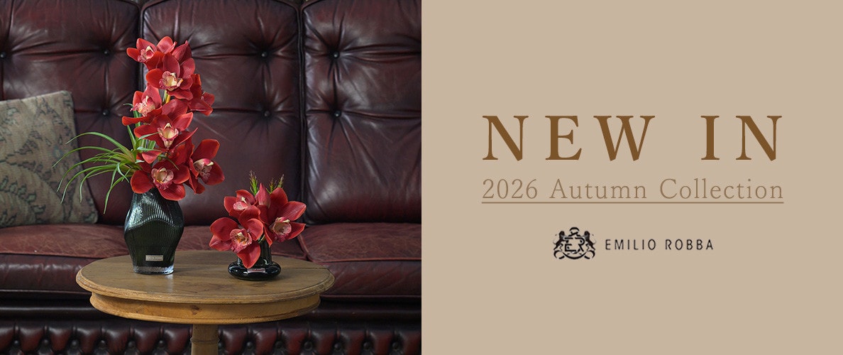 NEW IN　~2026 Autumn Collection~
