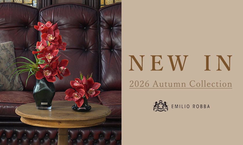 NEW IN　~2026 Autumn Collection~
