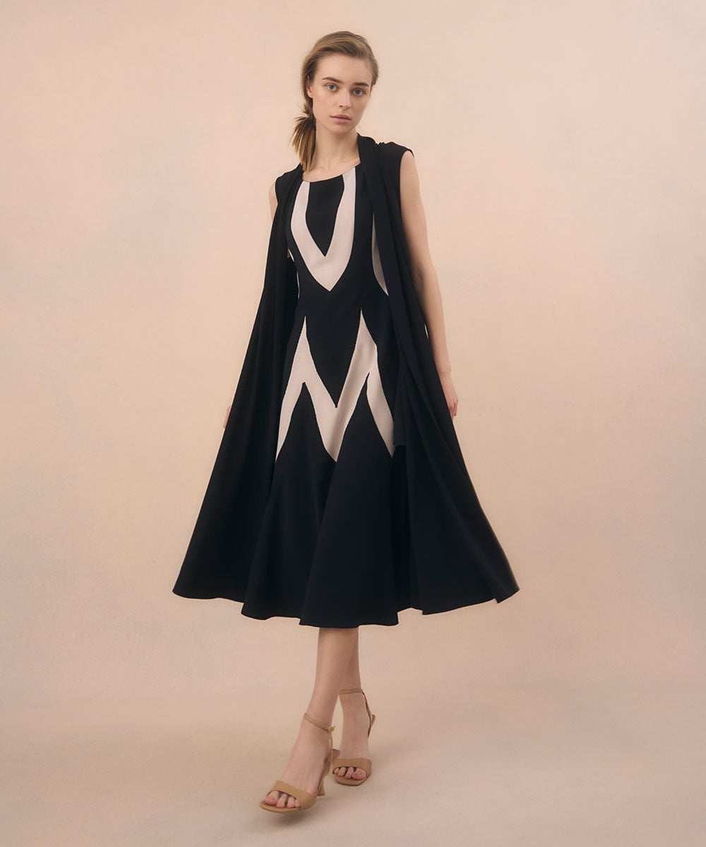 Art bi-color dress