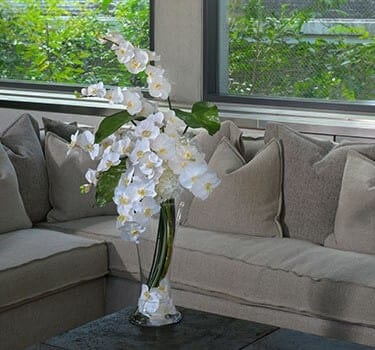 EMILIO ROBBA（エミリオ ロバ）