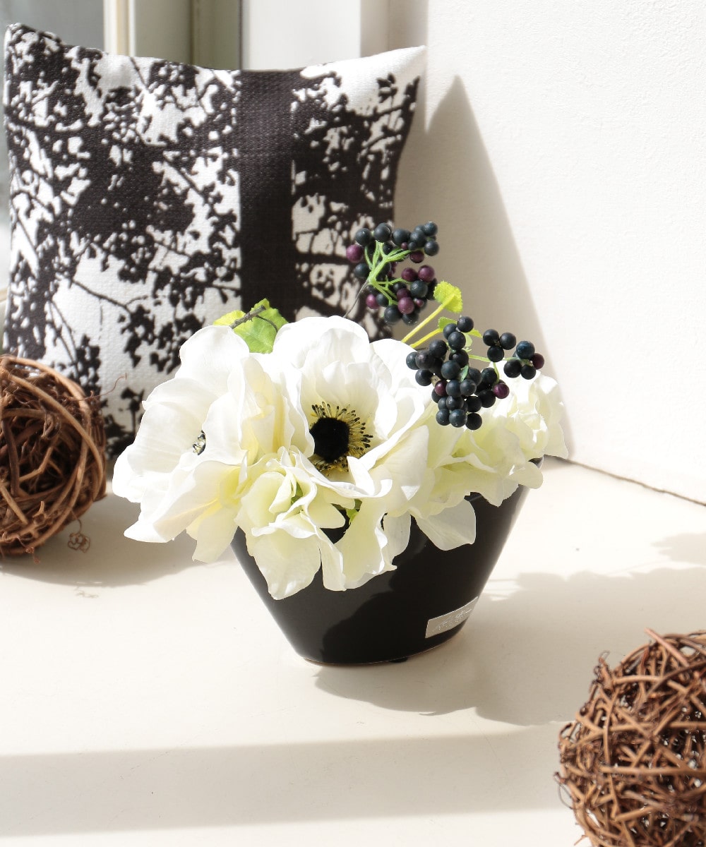 EMILIO ROBBA】SPRING COLLECTION｜イトキンオンラインストア