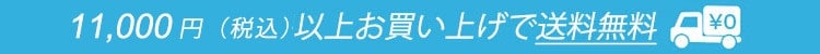 11,000円（税込）以上で送料無料！