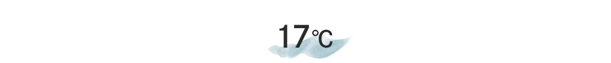 17度