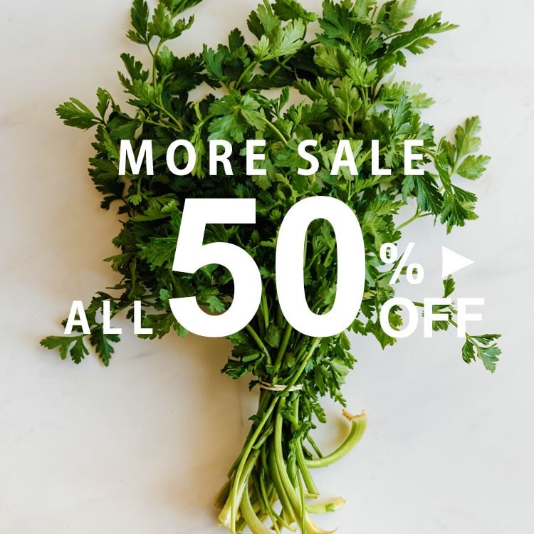 【Sybilla】本日よりお求めやすく ALL 50% OFF