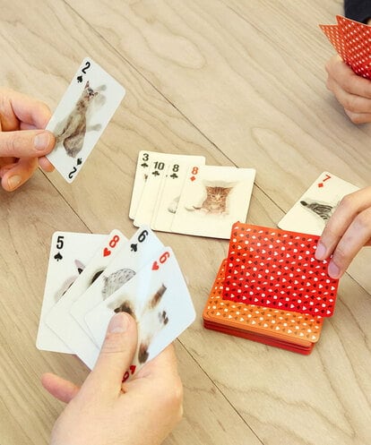CCYJS68014 LIFE STYLE SELECTION 3D Cat Cards