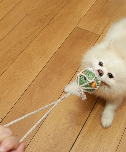 CCYJS73018  Pufferfish Tug Toy