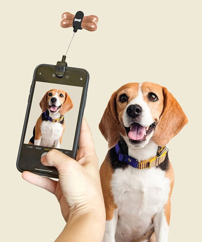 CCYJS74007 LIFE STYLE SELECTION Dog Treat Selfie Clip