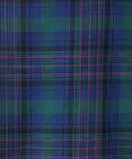 FKEGD46230 MK MICHEL KLEIN(MK ミッシェルクラン) オーガンジーチェック柄フレアシルエットワンピース/洗える ベージュ