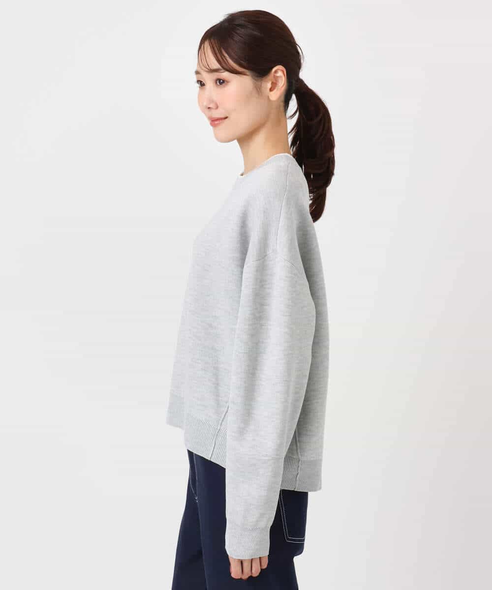 FKFDD15120 MK MICHEL KLEIN(MK ミッシェルクラン) スウェットライククルーネックニット/洗える グレー