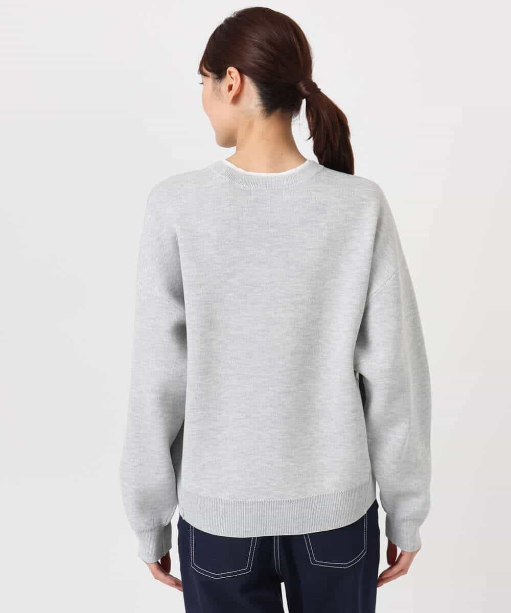 FKFDD15120 MK MICHEL KLEIN(MK ミッシェルクラン) スウェットライククルーネックニット/洗える グレー