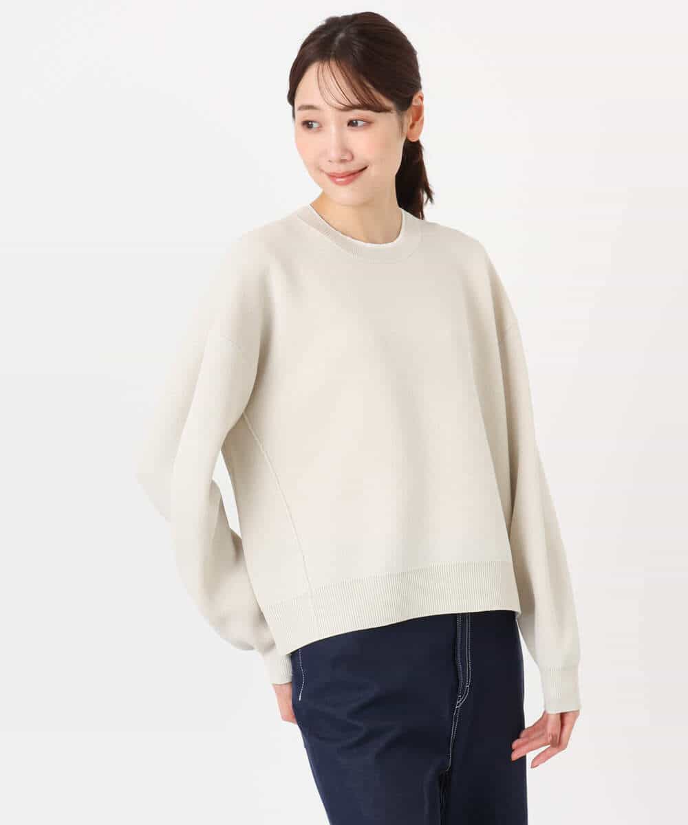 FKFDD15120 MK MICHEL KLEIN(MK ミッシェルクラン) スウェットライククルーネックニット/洗える グレー