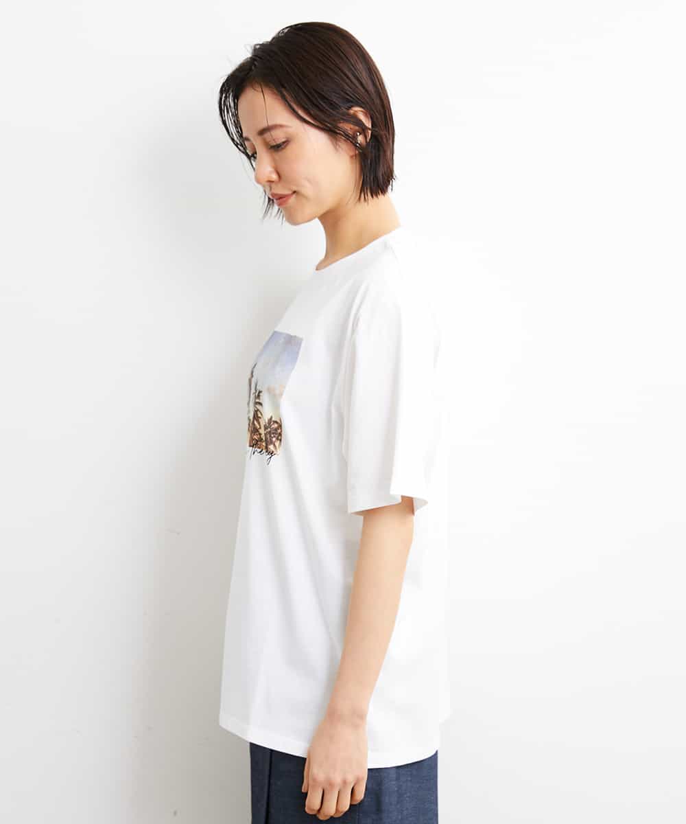FMKGS23120 MICHEL KLEIN(ミッシェルクラン) パームツリーフォトプリントTシャツ ホワイト(90)
