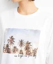 FMKGS23120 MICHEL KLEIN(ミッシェルクラン) パームツリーフォトプリントTシャツ ホワイト(90)
