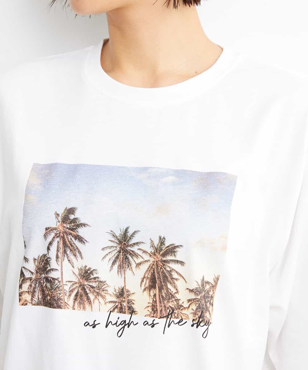 FMKGS23120 MICHEL KLEIN(ミッシェルクラン) パームツリーフォトプリントTシャツ ホワイト(90)