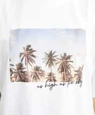 FMKGS23120 MICHEL KLEIN(ミッシェルクラン) パームツリーフォトプリントTシャツ ホワイト(90)