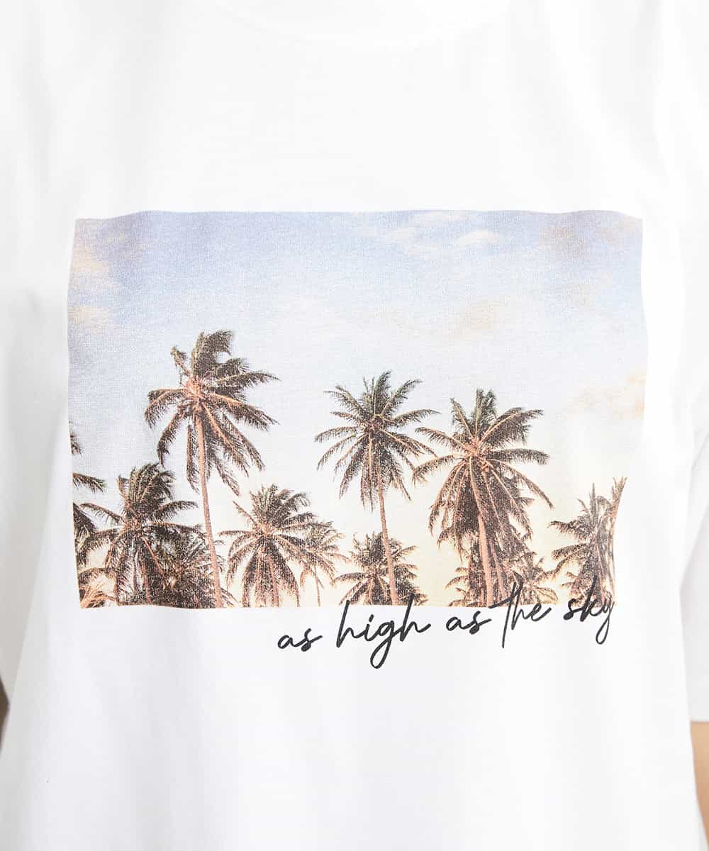 FMKGS23120 MICHEL KLEIN(ミッシェルクラン) パームツリーフォトプリントTシャツ ホワイト(90)