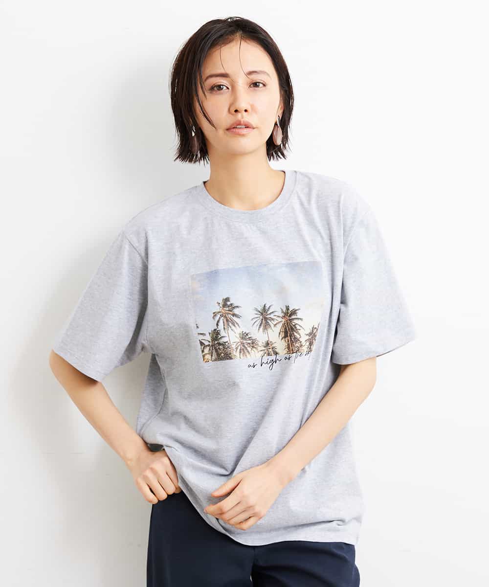 FMKGS23120 MICHEL KLEIN(ミッシェルクラン) パームツリーフォトプリントTシャツ グレー(92)