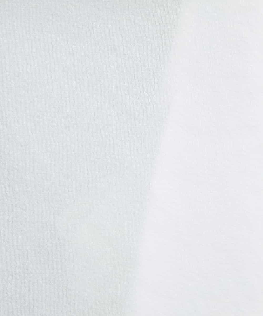 FMKGS28170 MICHEL KLEIN(ミッシェルクラン) [夏の1枚着におすすめ]フレンチスリーブシアーカットソー ライトグリーン(43)