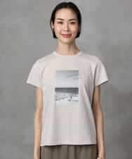 FMKHA23120 MICHEL KLEIN(ミッシェルクラン) フォトプリントTシャツ ライトグレー