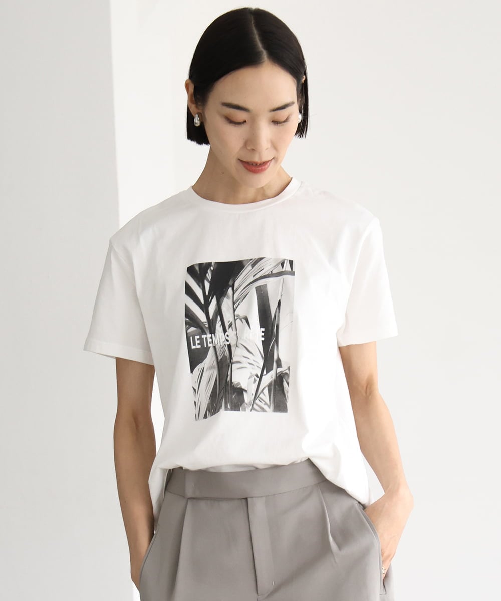 FMKHD27120 MICHEL KLEIN(ミッシェルクラン) [WEB限定カラー]フォトTシャツ カーキ（WEB限定カラー)