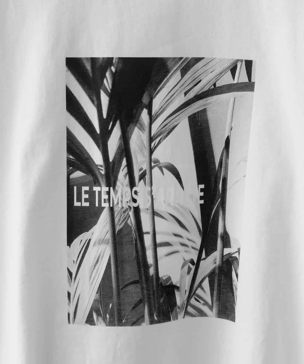 FMKHD27120 MICHEL KLEIN(ミッシェルクラン) フォトTシャツ カーキ