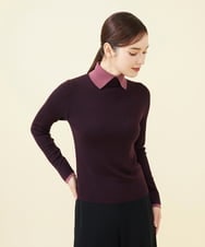 GBFAB04330 Sybilla(シビラ) 【メディア着用】レイヤード風タートルプルオーバー ボルドー