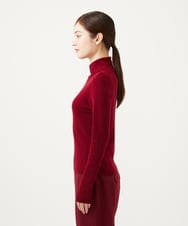 GBFAE33330 Sybilla(シビラ) ステッチデザインハイネックプルオーバー バーガンディー