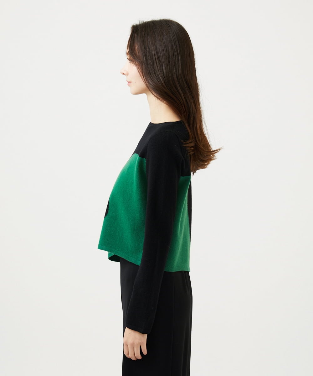 GBFAF04350 Sybilla(シビラ) アシメントリー配色ニット ブラック系