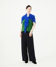 GBFAG30430 Sybilla(シビラ) Vネックファーニット グリーン