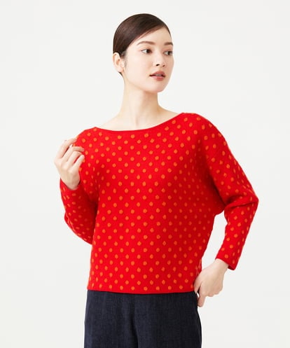 GBFAH02450 Sybilla ドットジャカードニット