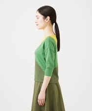 GBFEE03400 Sybilla(シビラ) カラーブロックニット グリーン系
