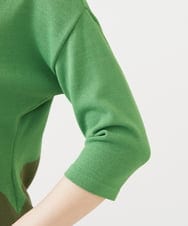 GBFEE03400 Sybilla(シビラ) カラーブロックニット グリーン系