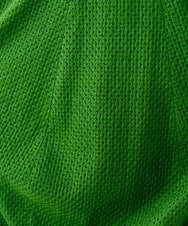 GBHGD45360 Sybilla(シビラ) アイレットレーススカート グリーン