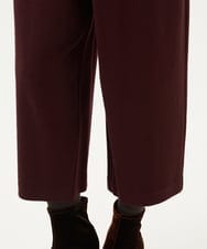 GBLAE70300 Sybilla(シビラ) ウールアムンゼンラップパンツ ブラウン