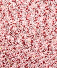 GJFDE31180 Jocomomola(ホコモモラ) カラーネップニットプルオーバー レッド